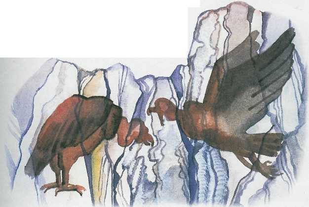 Загадка империи инков - i_033.jpg