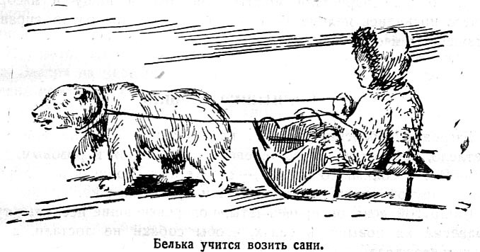 Новоземельские рассказы - i_011.jpg