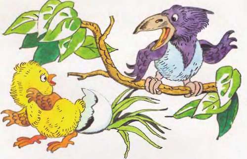 Как цыпленок голос искал - _5.jpg