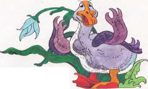 Как цыпленок голос искал - _8.jpg