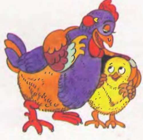 Как цыпленок голос искал - _11.jpg