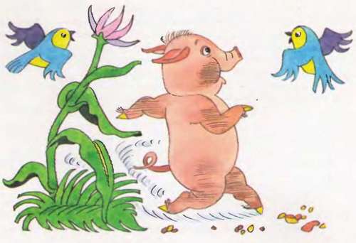 Как цыпленок голос искал - _47.jpg