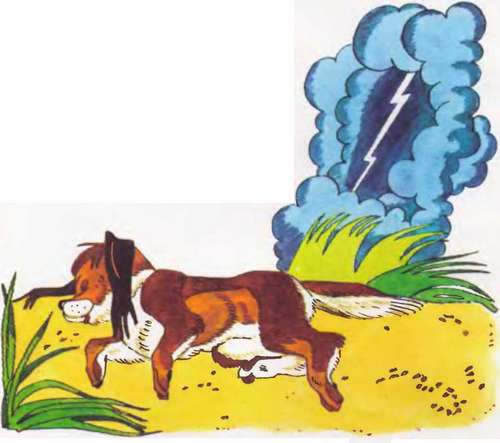 Как цыпленок голос искал - _71.jpg