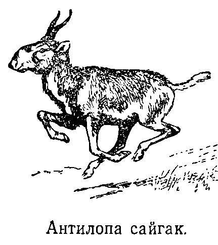 Моря нашей Родины - _57.jpg