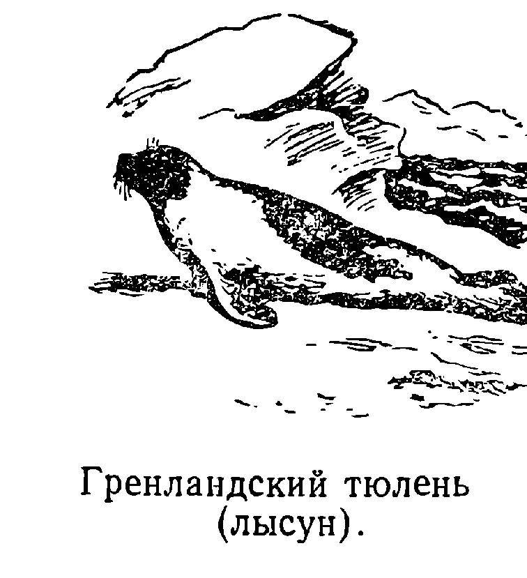 Моря нашей Родины - _116.jpg