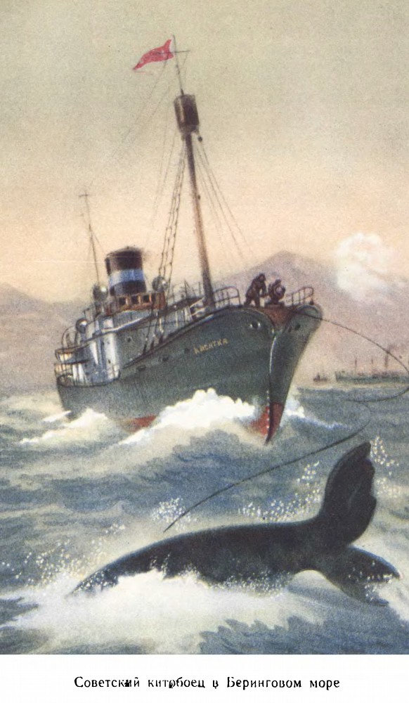 Моря нашей Родины - _89.jpg