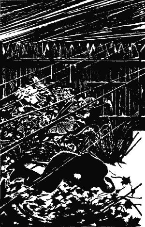 По ту сторону добра - Any2FbImgLoader1