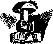 Воин из Киригуа - i_022.png