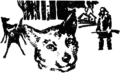 Стая - i_001.png