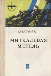 Миткалевая метель - автор Кочнев Михаил Харлампиевич 