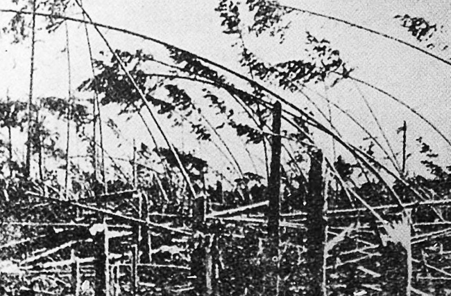 Катастрофы и катаклизмы - i_015.jpg