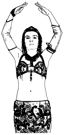 Арабские танцы. Самоучитель - i_004.png