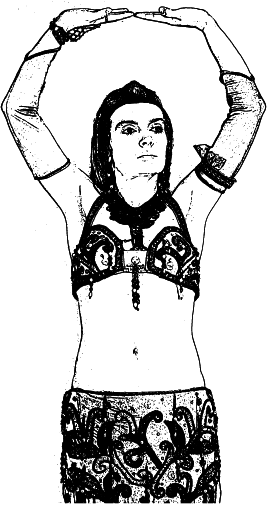 Арабские танцы. Самоучитель - i_014.png