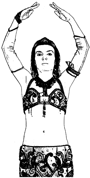 Арабские танцы. Самоучитель - i_019.png