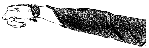 Арабские танцы. Самоучитель - i_021.png