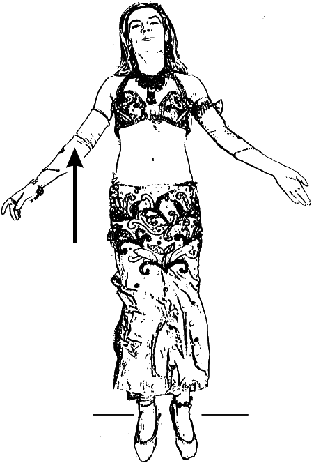 Арабские танцы. Самоучитель - i_125.png