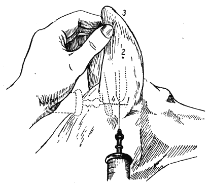 Болезни собак  - i_086.png