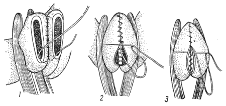 Болезни собак  - i_091.png