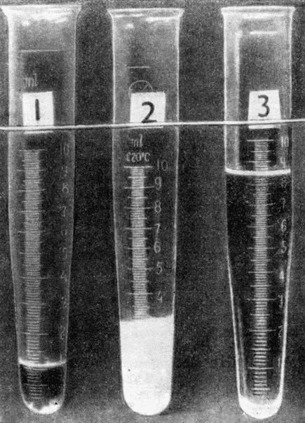 Болезни собак - i_121.jpg