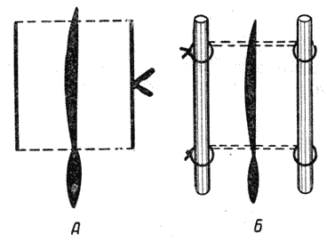 Болезни собак - i_134.png