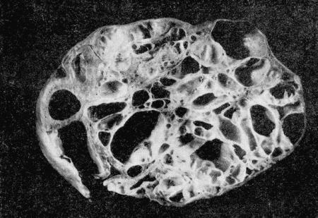 Болезни собак  - i_159.jpg