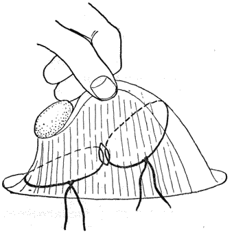 Болезни собак  - i_164.png