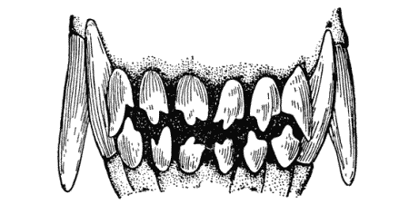 Болезни собак  - i_230.png