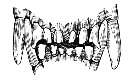 Болезни собак  - i_233.png