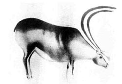 Искусство Древнего Мира - i_002.jpg