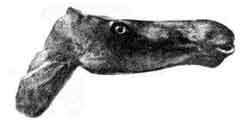 Искусство Древнего Мира - i_013.jpg