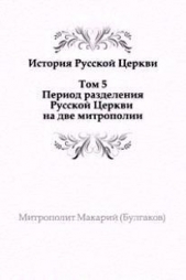 История русской Церкви. Том 5 - автор Митрополит (Булгаков) Макарий 