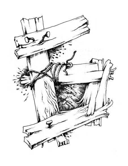 Русское сквернословие. Краткий, но выразительный словарь - _28.jpg