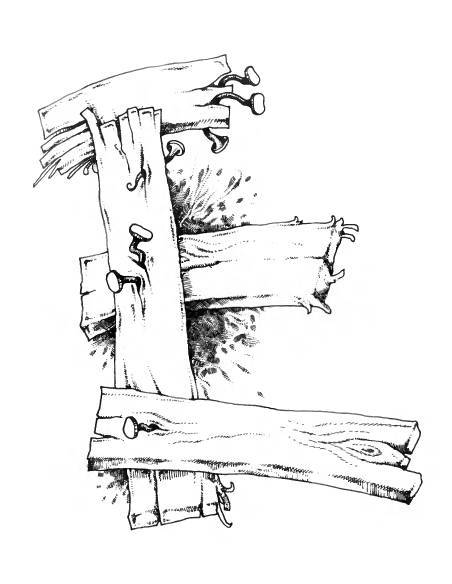 Русское сквернословие. Краткий, но выразительный словарь - _71.jpg