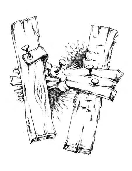 Русское сквернословие. Краткий, но выразительный словарь - _150.jpg