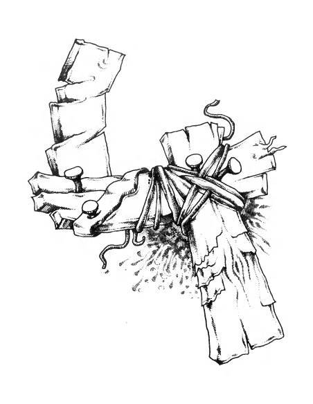 Русское сквернословие. Краткий, но выразительный словарь - _281.jpg