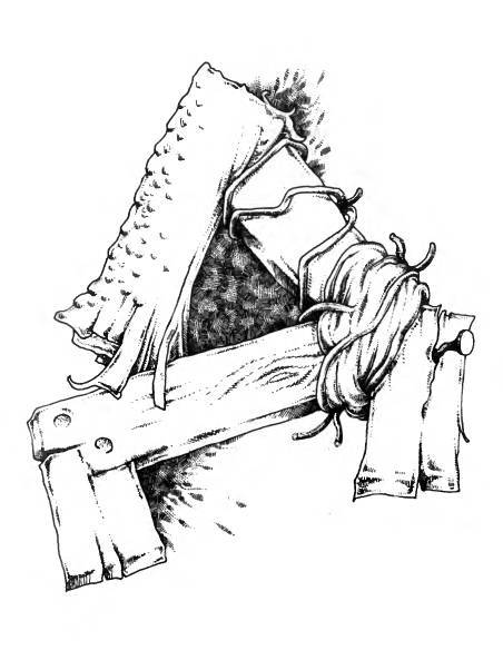 Русское сквернословие. Краткий, но выразительный словарь - _61.jpg