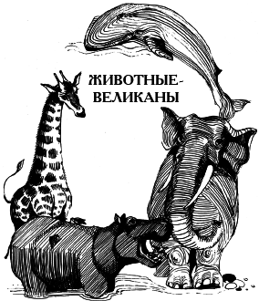 Энциклопедия животных - i_001.png