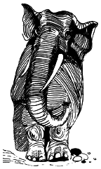 Энциклопедия животных - i_002.png