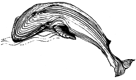 Энциклопедия животных - i_003.png