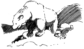 Энциклопедия животных - i_004.png