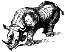 Энциклопедия животных - i_007.png