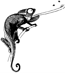 Энциклопедия животных - i_011.png