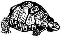 Энциклопедия животных - i_012.png