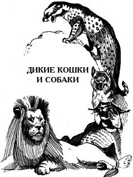 Энциклопедия животных - i_014.png