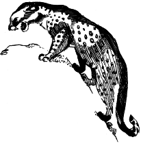 Энциклопедия животных - i_015.png