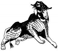 Энциклопедия животных - i_017.png