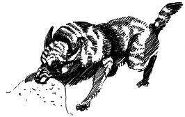 Энциклопедия животных - i_018.png