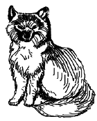 Энциклопедия животных - i_020.png