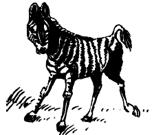 Энциклопедия животных - i_023.png