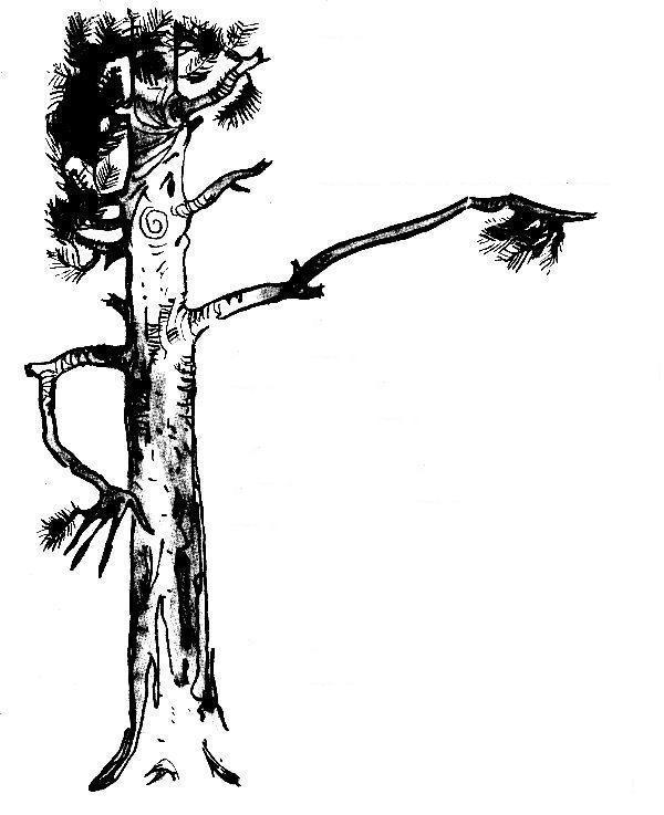 Приключения Кольки Кочерыжкина - pic_17.jpg